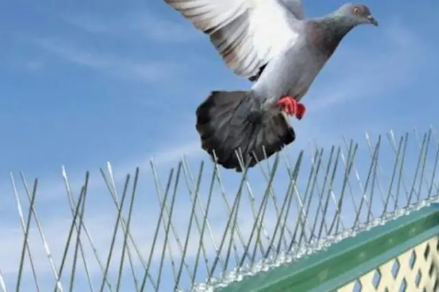 bird protection nets suppliers in Chennai