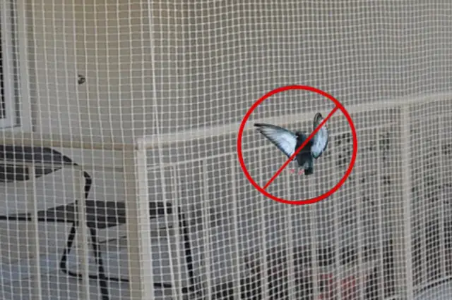 anti-birds safety nets dealers in Chennai